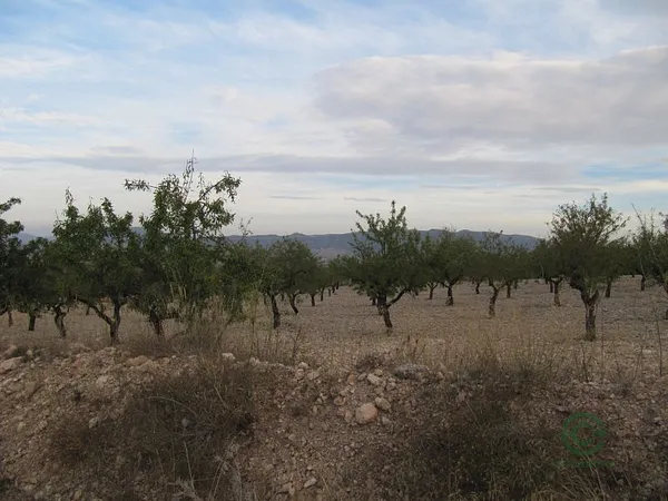 Spot image