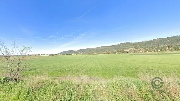 Spot image