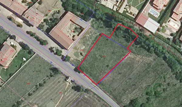 Spot image