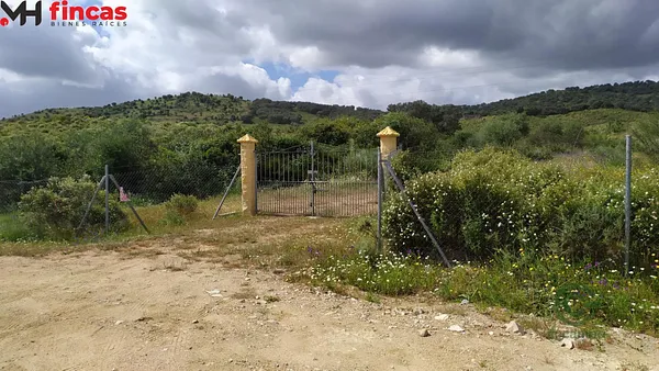 Spot image