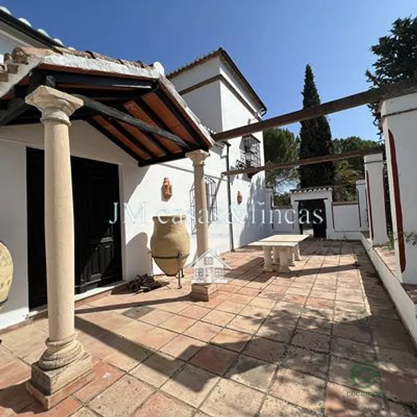Spot image