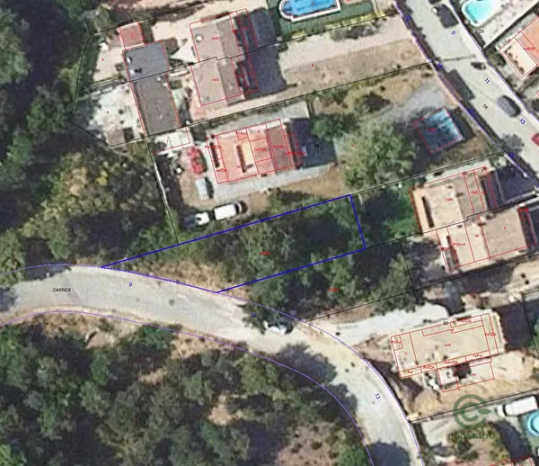 Spot image