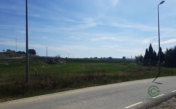 Spot image