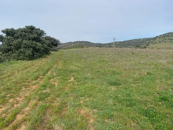 Spot image