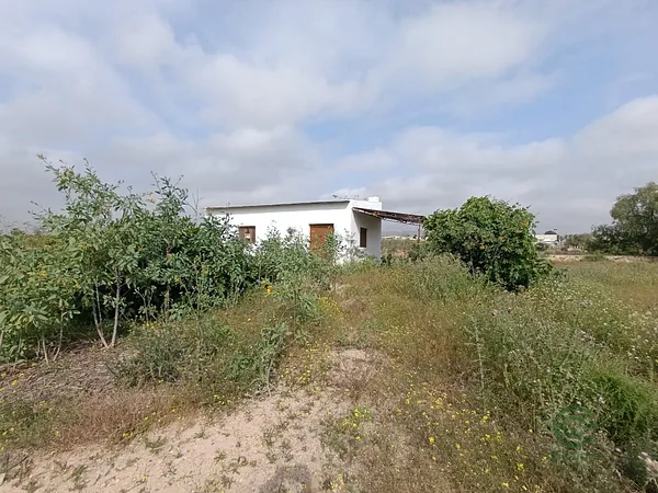 Spot image