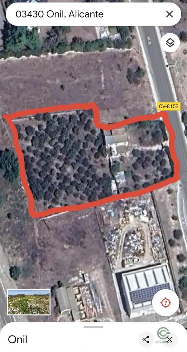 Spot image