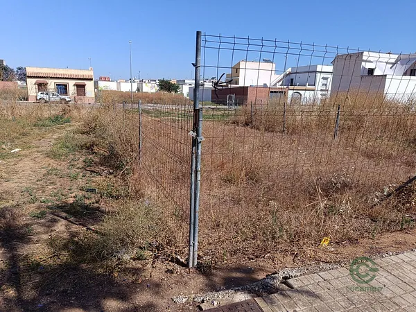 Spot image