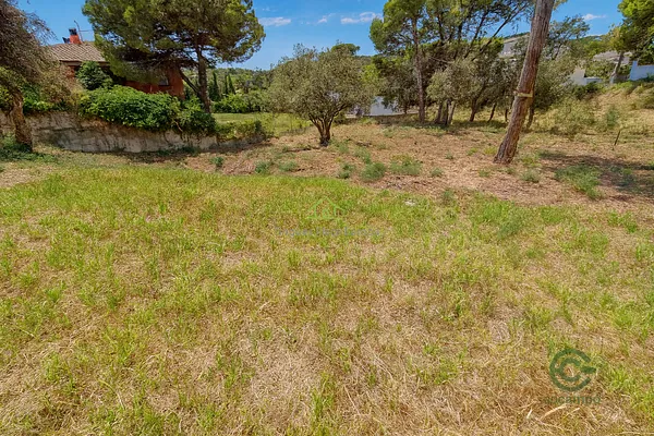 Spot image