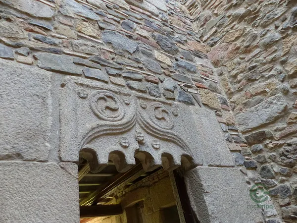 Spot image