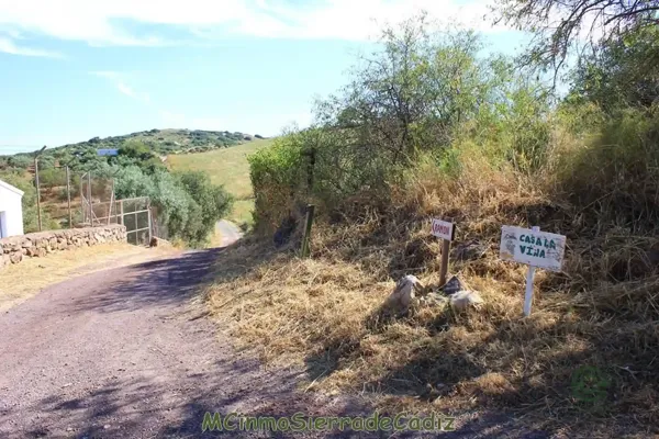 Spot image