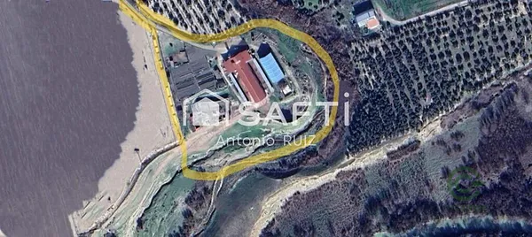 Spot image