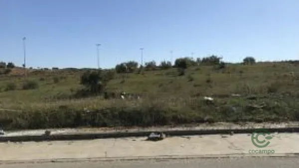 Spot image