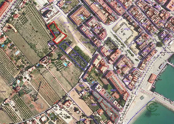 Spot image