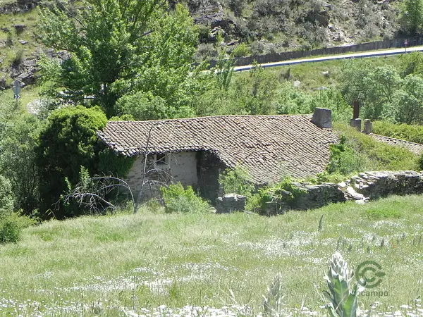 Spot image