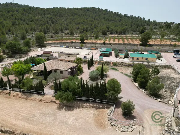Spot image