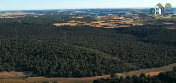 Spot image