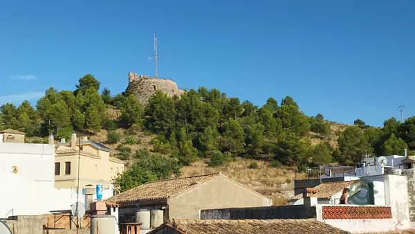 Spot image
