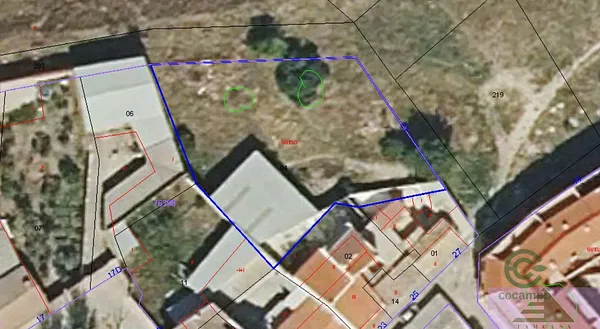 Spot image