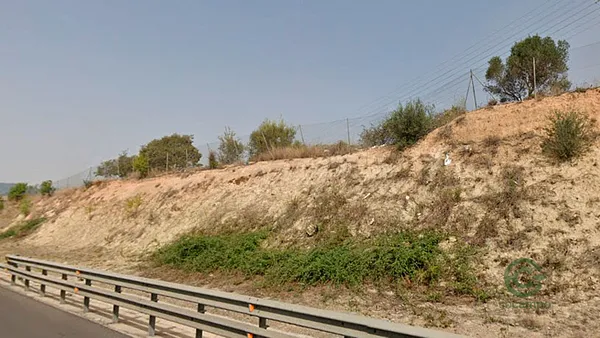 Spot image