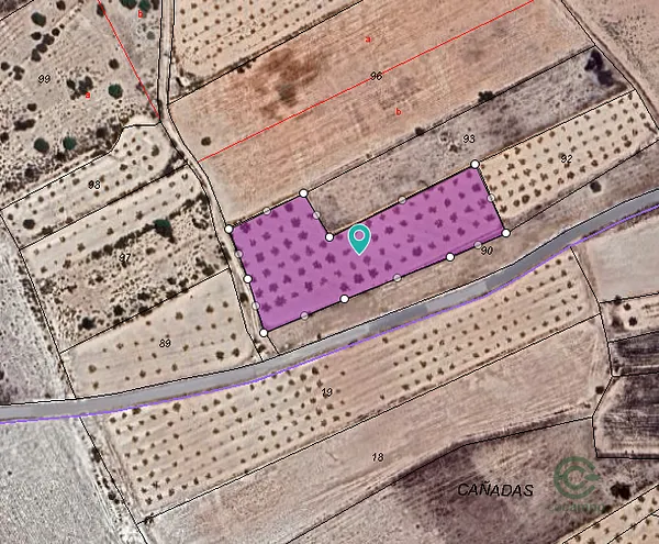 Spot image