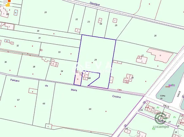 Spot image