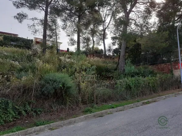 Spot image
