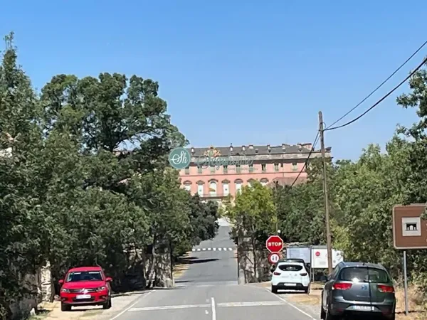 Spot image