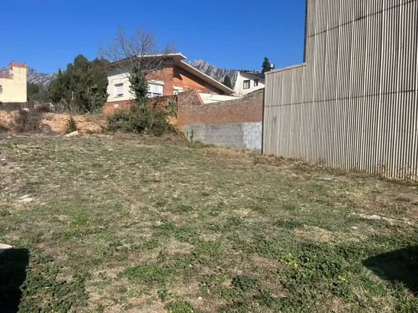 Spot image
