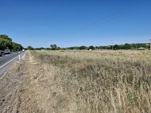 Spot image