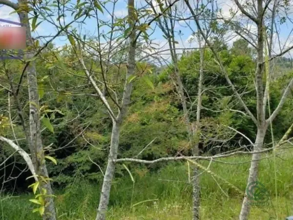 Fazenda rustica de 8370 ha para venda em Rio grande do sul