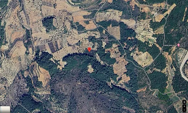 Spot image