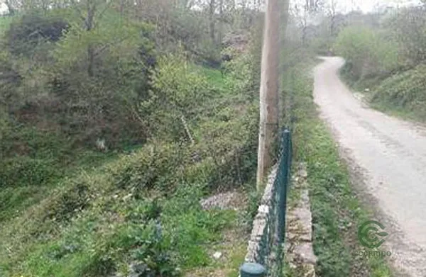 Spot image