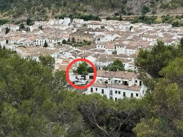 Spot image