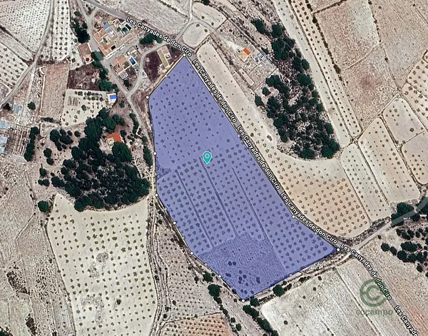 Spot image