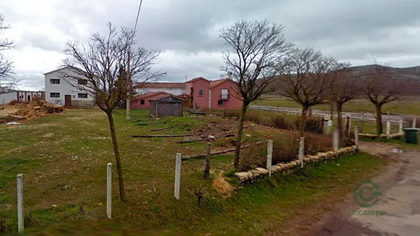 Spot image