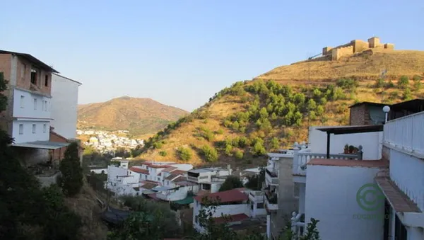 Spot image