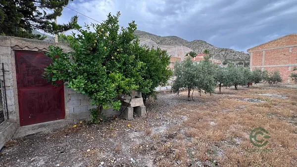 Spot image