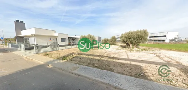 Spot image