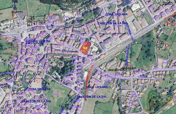 Spot image