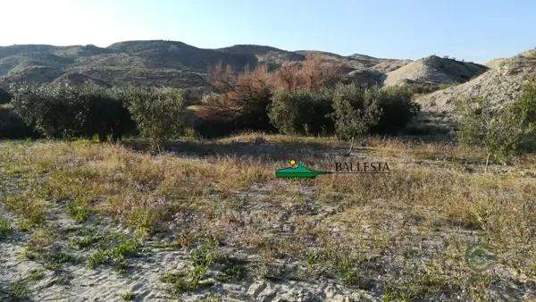 Spot image