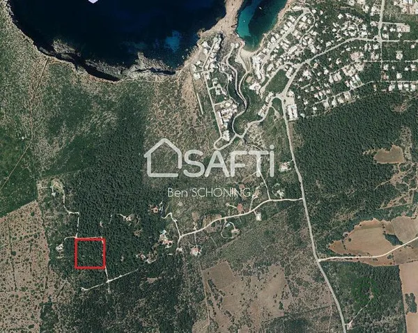 Spot image