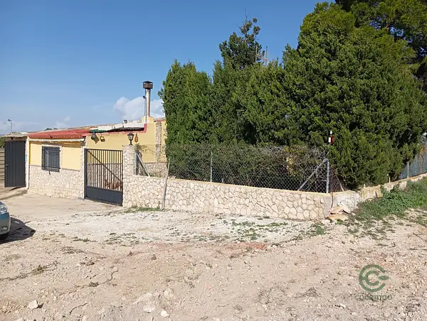 Spot image