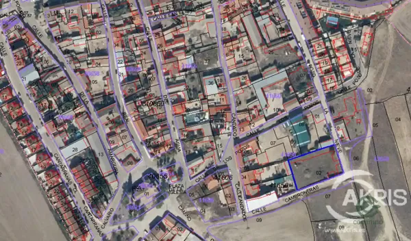 Spot image