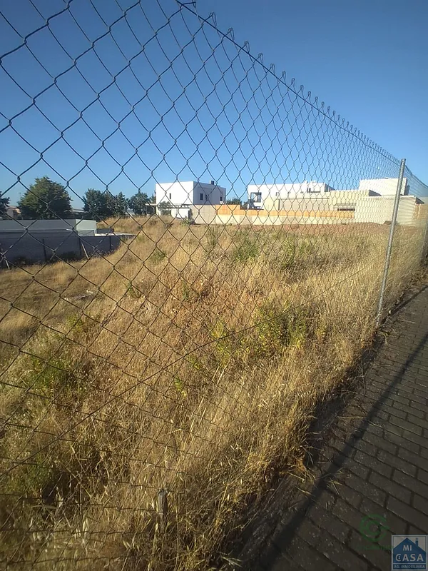 Spot image