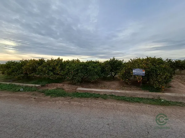 Spot image
