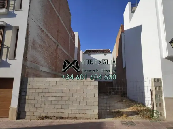 Spot image