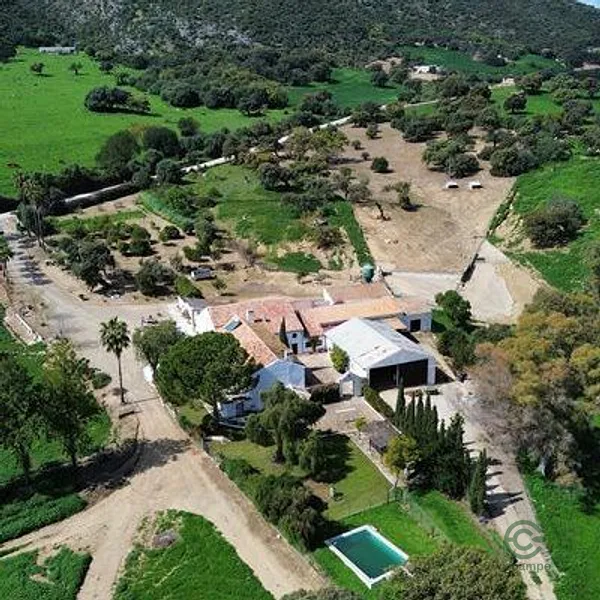 Spot image