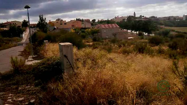 Spot image