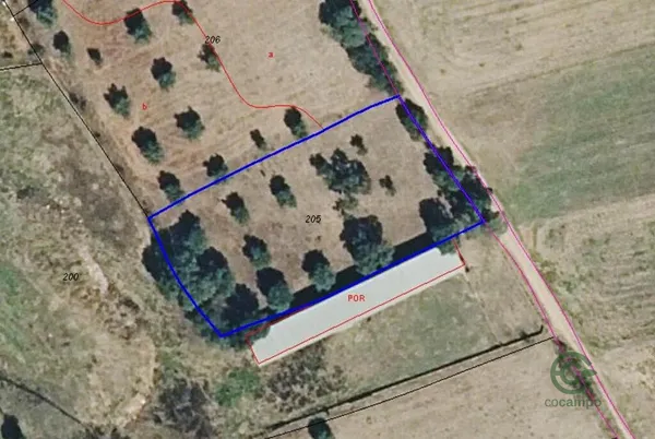Spot image