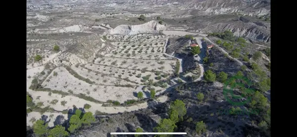 Spot image